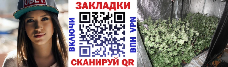 Купить наркотики сайты Курган ОМГ ОМГ ССЫЛКА  Каннабис  Галлюциногенные грибы  Меф мяу мяу  Альфа ПВП  АМФ  ГАШИШ 