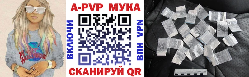 omg tor  Курган  A PVP СК 