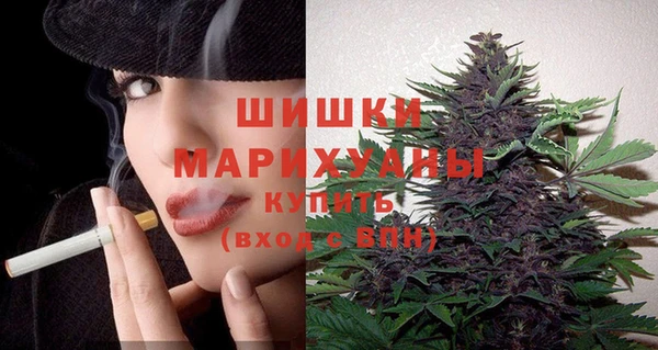 стафф Аркадак