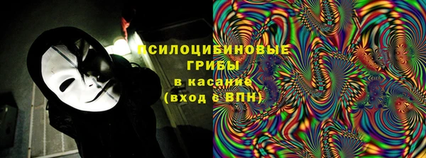 индика Армянск