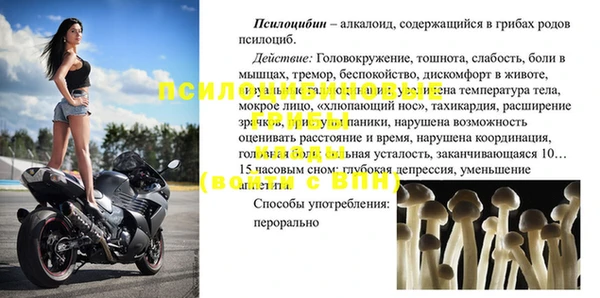 прущие грибы Арсеньев