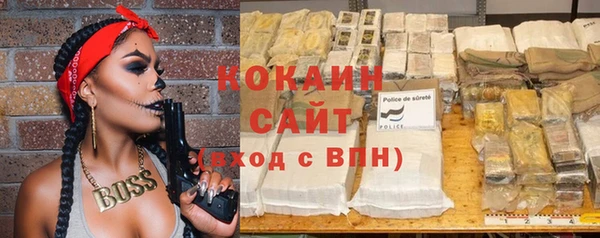 индика Армянск