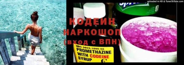 прущие грибы Арсеньев