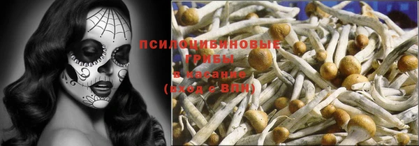 индика Армянск