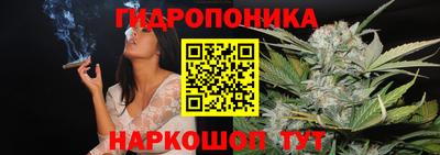 гидра Иваново