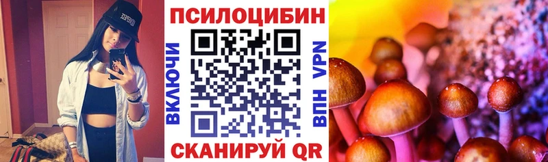 где найти наркотики Курган Псилоцибиновые грибы Cubensis