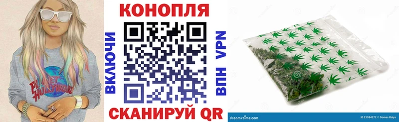 цены наркотик  Курган  Канабис семена 