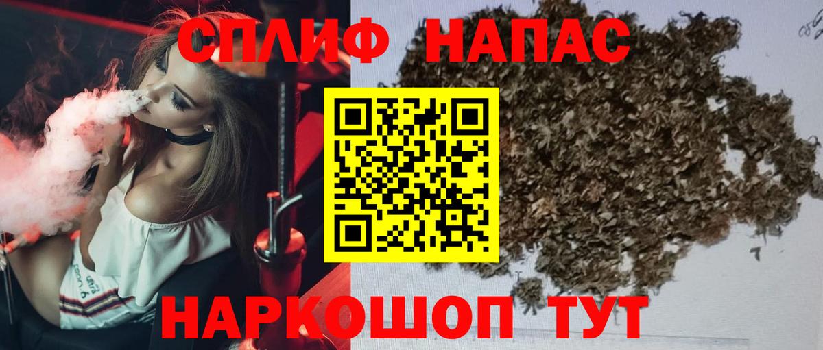Канабис семена Курган